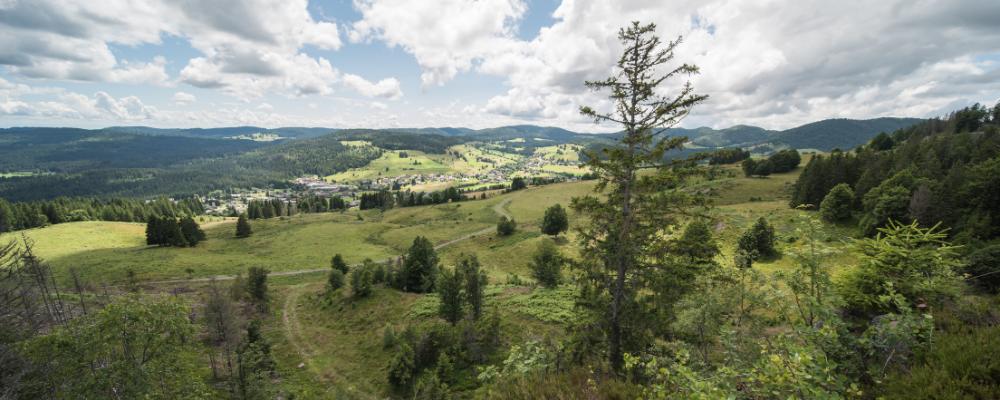 Bernau – Autumn in the mountains